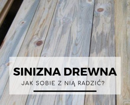 Sinizna drewna – jak sobie z nią radzić