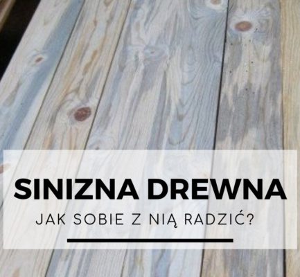 Sinizna drewna – jak sobie z nią radzić